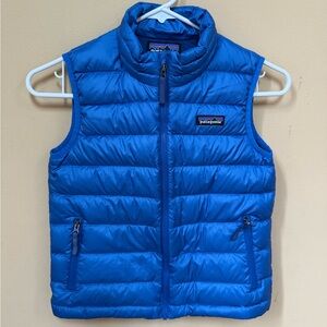 Patagonia Blue Puffer Vest